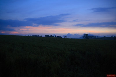 g1/54/877654/3/105622501.v89wyI15.jpg
