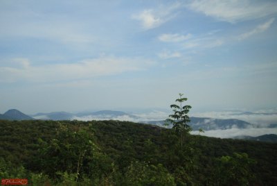 Road 95 to Taxco