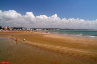 Beach / Essaouira / Morocco