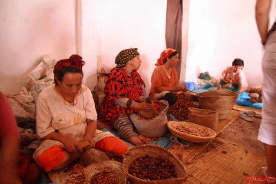 Making argan oil / Essaouira / Morocco