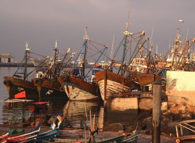 Harbor / Agadir / Morocco