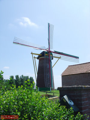 Somewhere in Holland