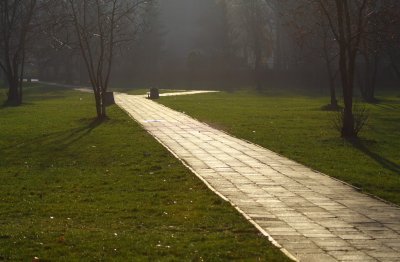 Park lane
