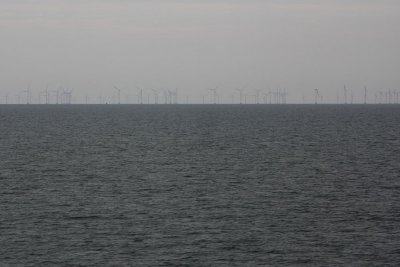 tn_IMG_9679.JPG