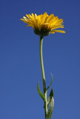 tn_IMG_3255.JPG