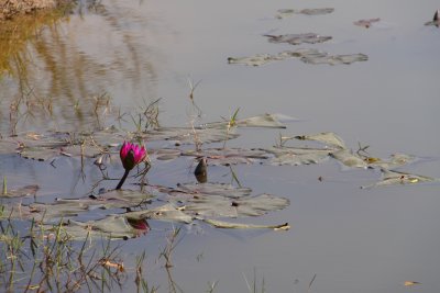 IMG_1097.JPG
