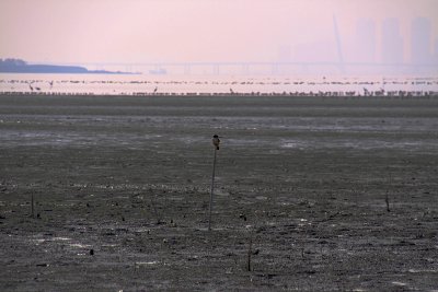 IMG_1133.JPG