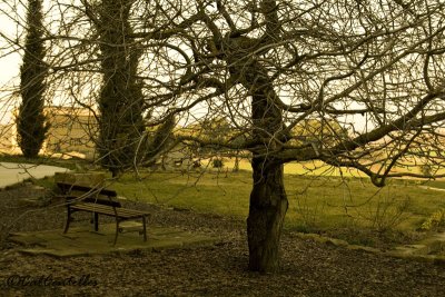 El banc del darrera mes aprop