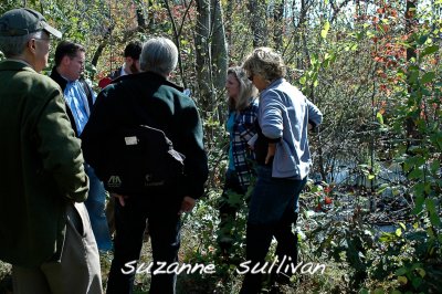 Headwaters Stream Team