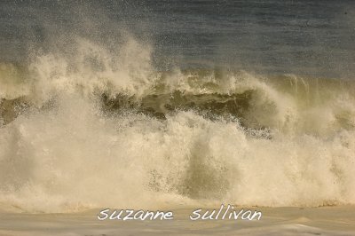 g1/54/907154/3/116502089.xN4jvvyl.jpg