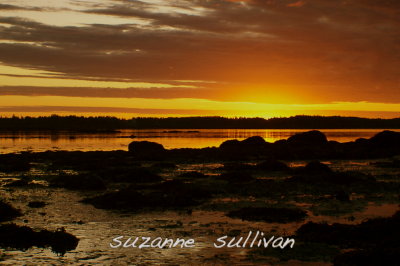 sunrise perry maine cobscook bay