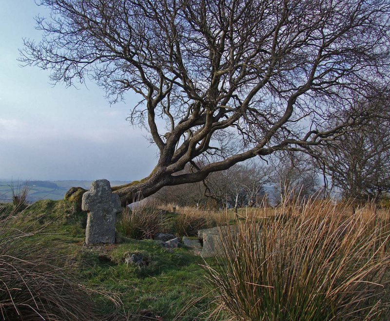 Fices Well near Okehampton