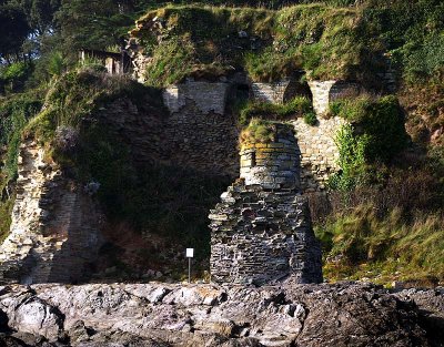 Salcombe - ruins.jpg