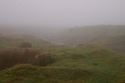 Autumn Mist on the Moor