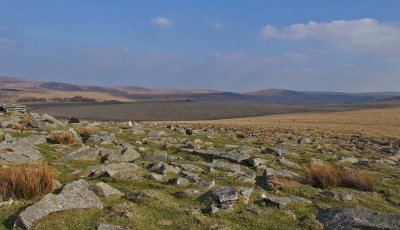 dartmoor vista - april 09