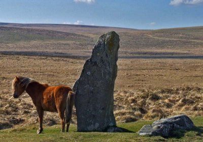 Scorhill Circle - large standing stone