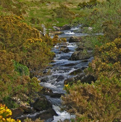 Dartmoor Stream at Cullevers steps