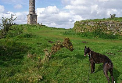 Peggy on Kit Hill.jpg