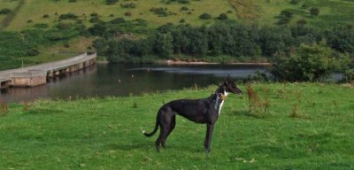 Peggy at Meldon Dam.jpg