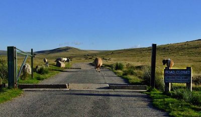 Moorland Loop Road Closed