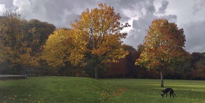Autumn in The Park 3.jpg