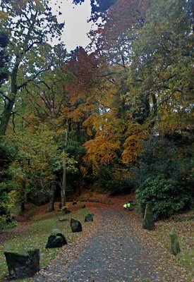 Wet November Afternoon Walk