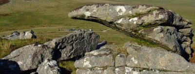 The strange weathered rocks of West Mill Tor