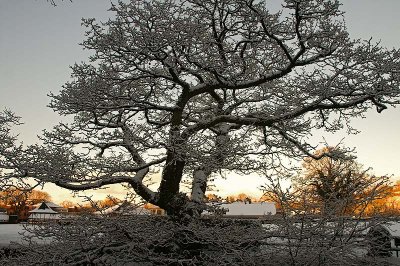 Simmons Park Snow3.jpg