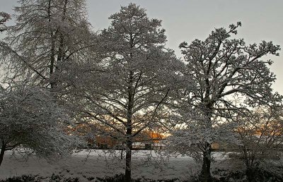 Simmons Park Snow4.jpg