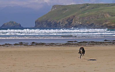 Peggy at Polzeath 2.jpg