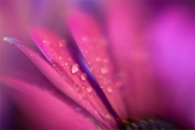 g1/54/923954/3/115233527.l7Qa0d2r.jpg
