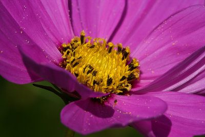 _MG_web.6057.jpg