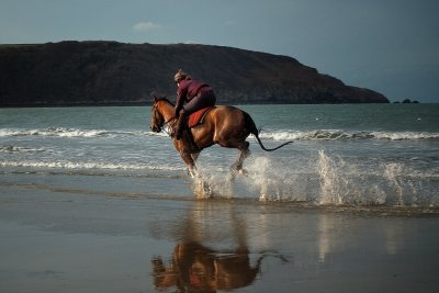 Horse running on the Beach