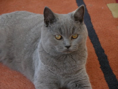 Smokey2003-10-2110-55-04.jpg