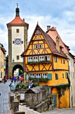 Picture book Rothenberg.