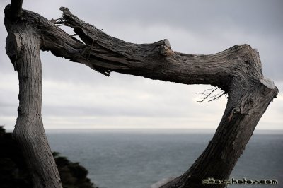 090321 Nikon 24-120VR
