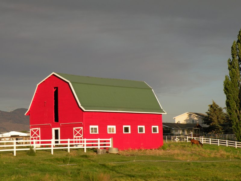 Heart of the Ranch