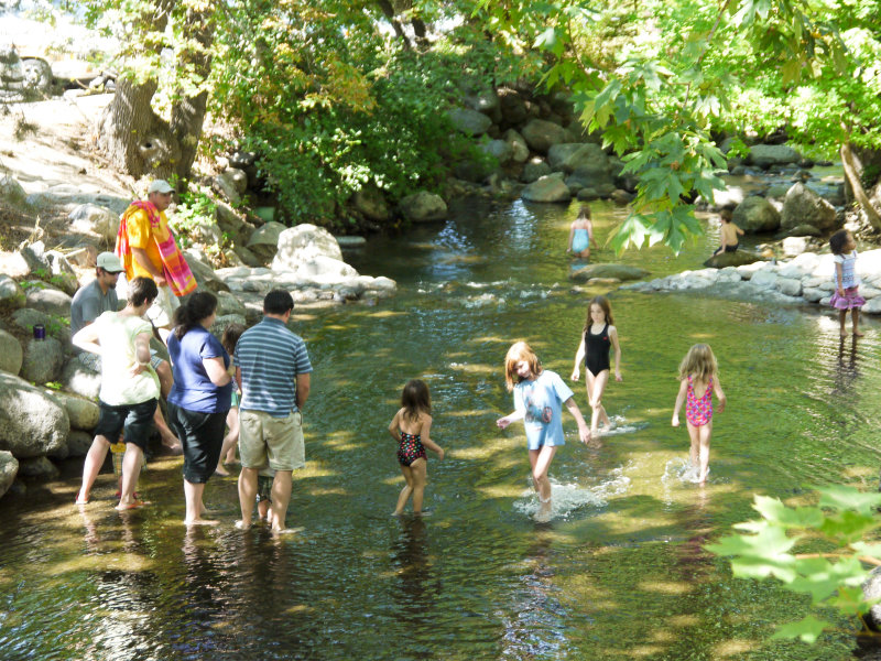 10. Wade In The Water Children