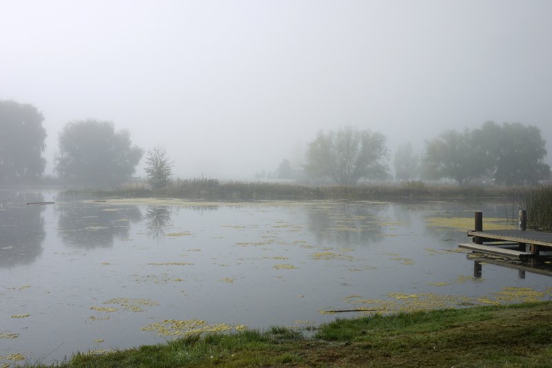 12. Foggy Morning