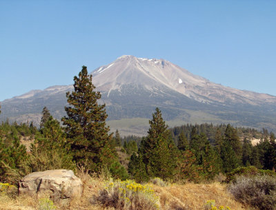 Shasta from the north