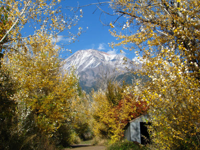 Driving North towards home, I passed this little side road through the colorful fall leaves. Mt Shasta came peeking through.