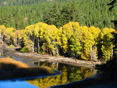 Autumn Colors- Oregon Style (updated 2008)
