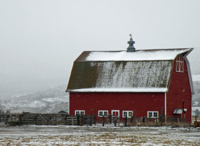 A barn I saw when delivering medication out in the country
