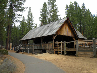 Lumber Mill 1900's