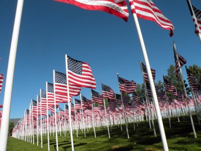 Honoring Those Who Served