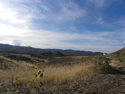 Painted Hills Viewpoint