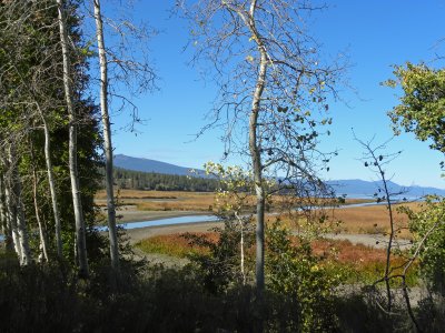 A Linear Strip of Water