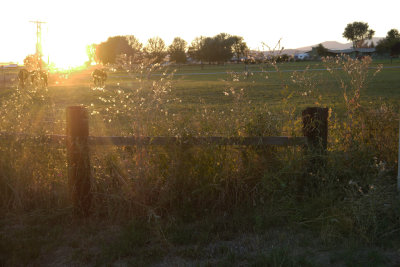 25. Sunset through the fields