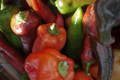 5. Rainbow of Harvested Peppers