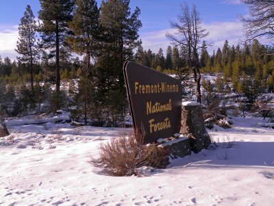12. Gateway to the National Forest